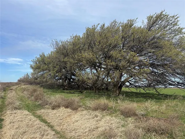 Photo 3 — Country Road 450, Aline, OK 73716