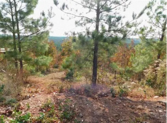 Photo 3 — 764 Kaisley Blue Eye Way, Broken Bow, OK 74728