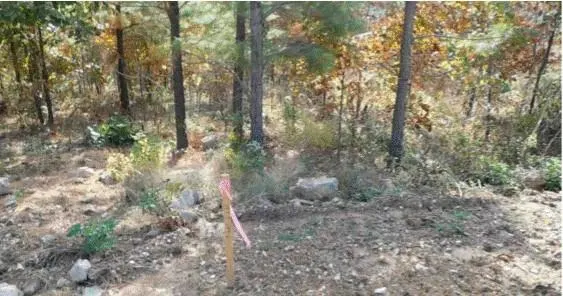 Photo 5 — 764 Kaisley Blue Eye Way, Broken Bow, OK 74728