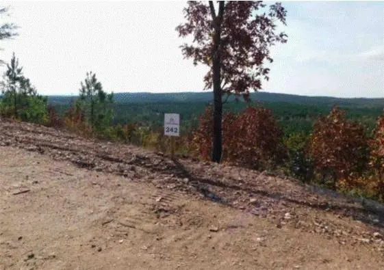 Photo 7 — 764 Kaisley Blue Eye Way, Broken Bow, OK 74728