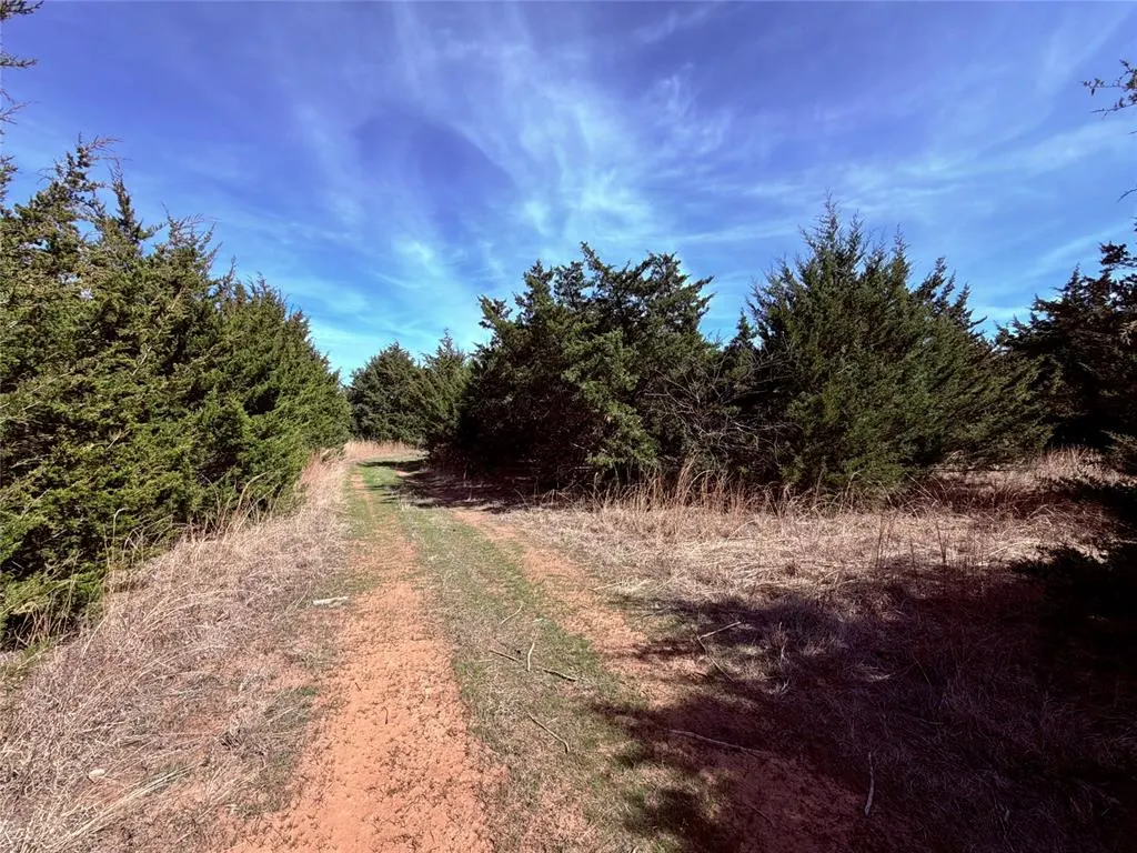 Photo 22 — 00 S S 3470 Rd/Fine Cedars Road, Cushing, OK 74023