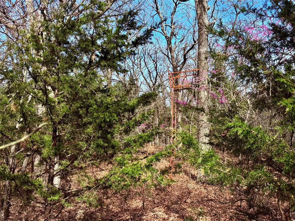 Photo 31 — 00 S S 3470 Rd/Fine Cedars Road, Cushing, OK 74023