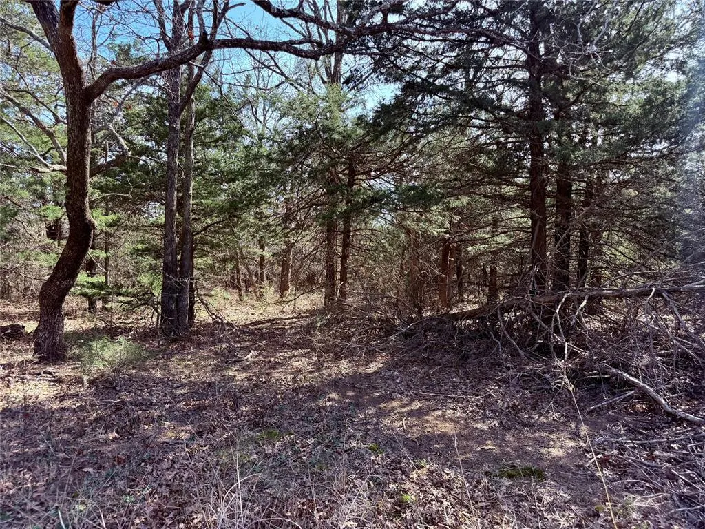 Photo 36 — 00 S S 3470 Rd/Fine Cedars Road, Cushing, OK 74023