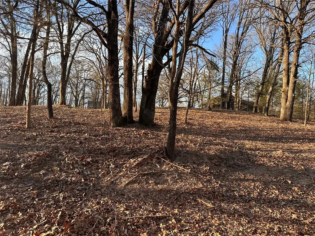 Photo 46 — 34487 Rattlesnake Hill Road, Tecumseh, OK 74873