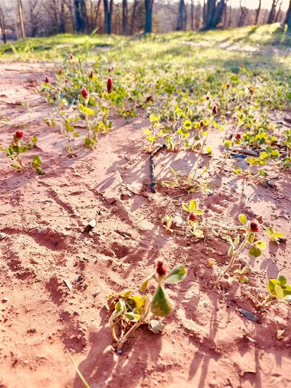 Photo 48 — 34487 Rattlesnake Hill Road, Tecumseh, OK 74873