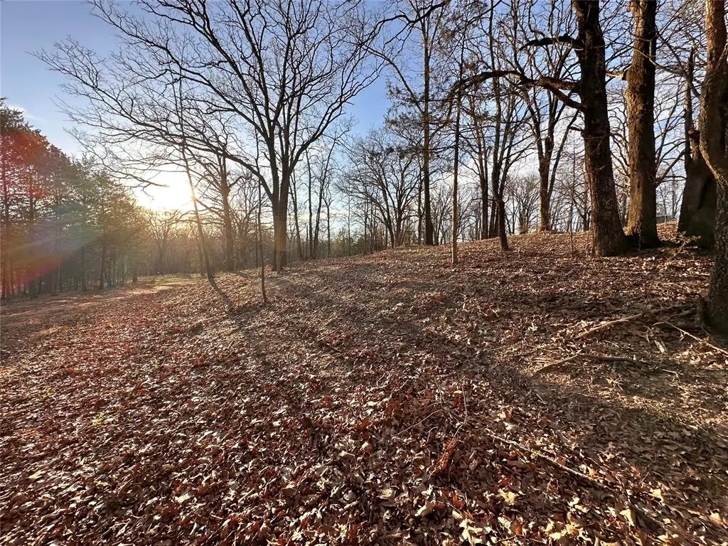 Photo 49 — 34487 Rattlesnake Hill Road, Tecumseh, OK 74873