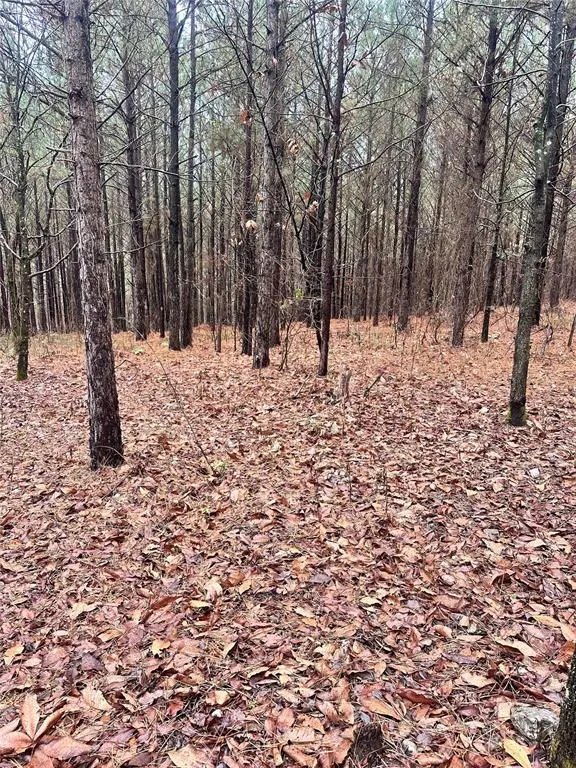Front exterior — 01235 Sugarberry Trail, Broken Bow, OK 74728