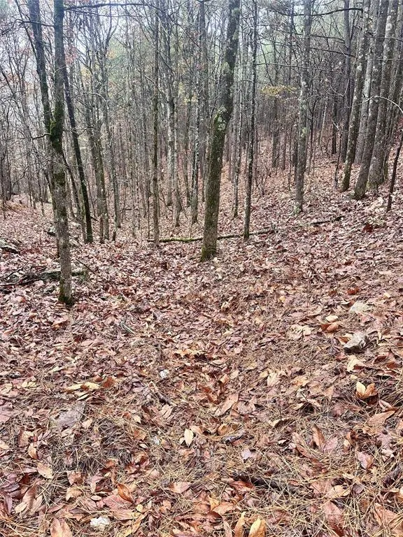 Photo 2 — 01235 Sugarberry Trail, Broken Bow, OK 74728
