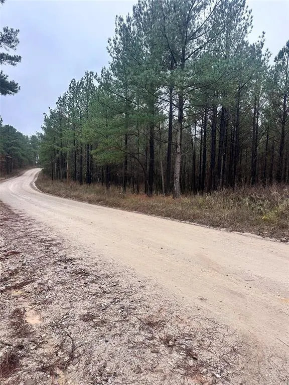 Photo 3 — 01235 Sugarberry Trail, Broken Bow, OK 74728