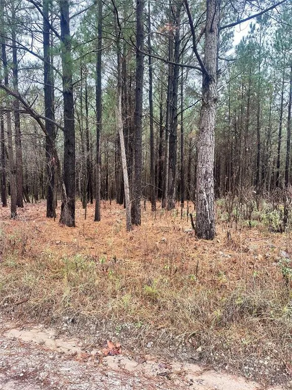 Photo 4 — 01235 Sugarberry Trail, Broken Bow, OK 74728