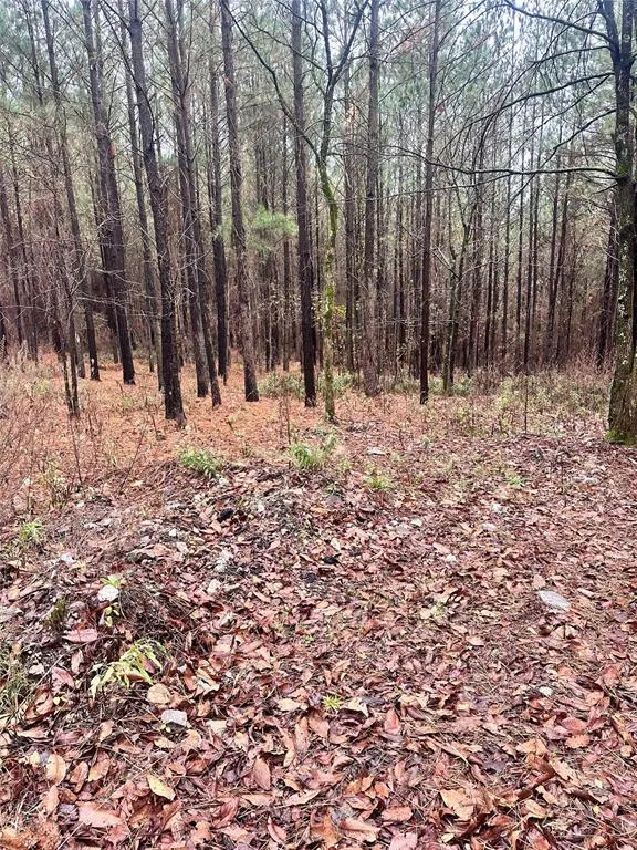 Photo 6 — 01235 Sugarberry Trail, Broken Bow, OK 74728