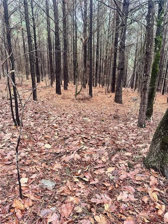 Photo 8 — 01235 Sugarberry Trail, Broken Bow, OK 74728