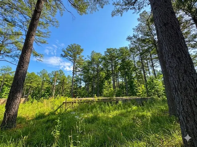 Photo 3 — 114 Alumacraft Trail, Broken Bow, OK 74728