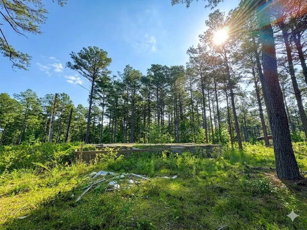 Photo 4 — 114 Alumacraft Trail, Broken Bow, OK 74728