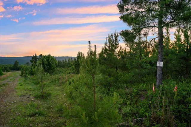 Photo 3 — 393 Overcup Oak Trail, Broken Bow, OK 74728