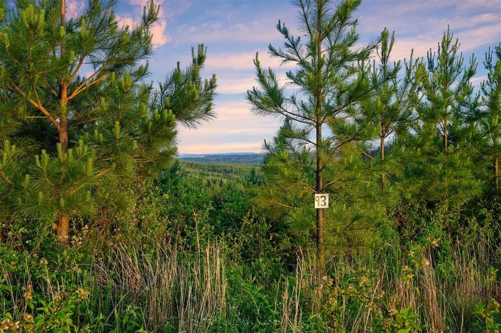 Photo 3 — 27 Scarlet Oak Trail, Broken Bow, OK 74728