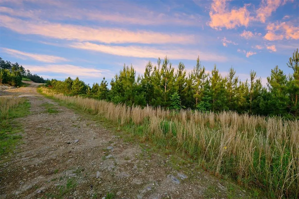 Photo 4 — 27 Scarlet Oak Trail, Broken Bow, OK 74728