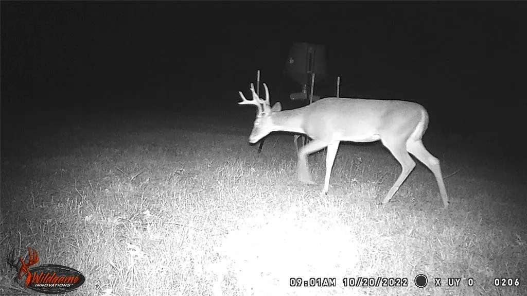 Photo 38 — 20501 144th Street, Lexington, OK 73051