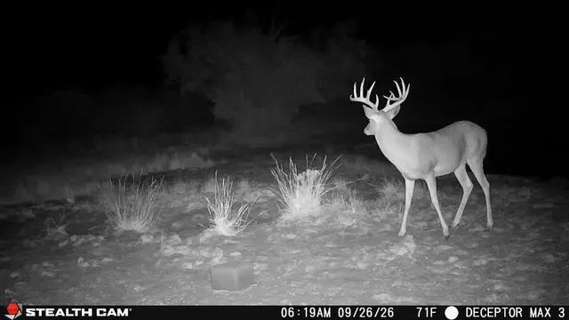Photo 2 — 30389 E County Road 1360 Road, Willow, OK 73673