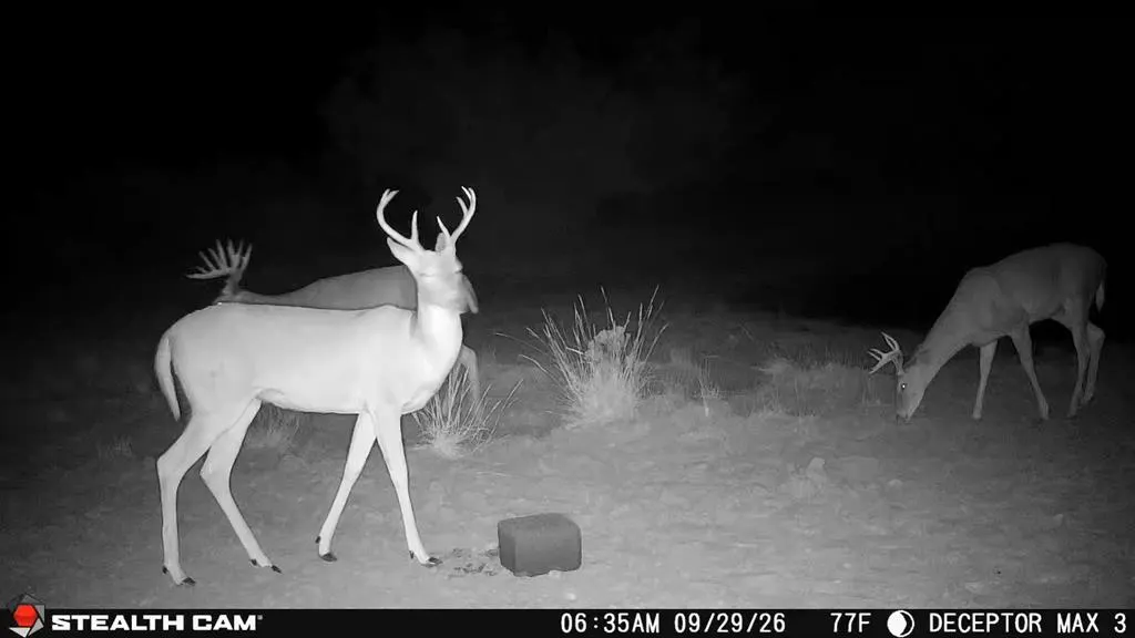 Photo 3 — 30389 E County Road 1360 Road, Willow, OK 73673