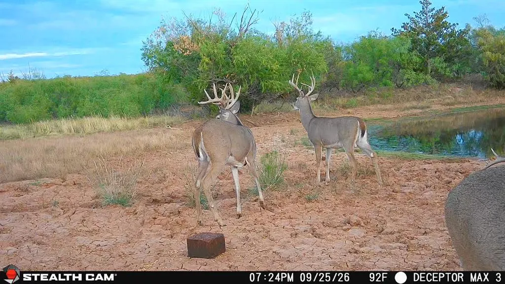 Photo 4 — 30389 E County Road 1360 Road, Willow, OK 73673