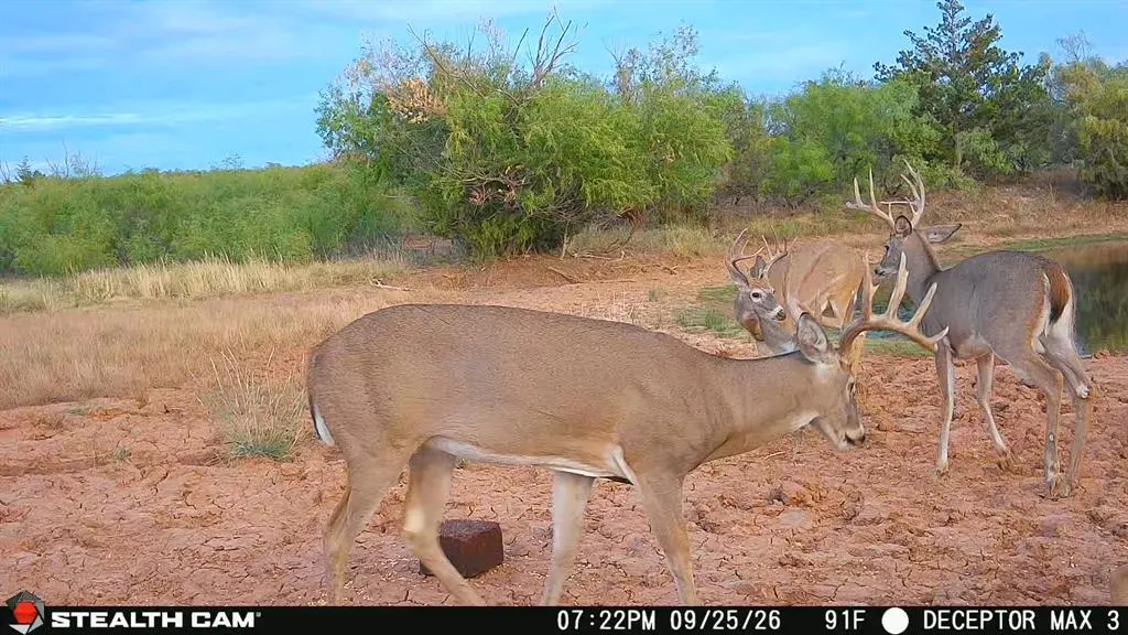 Photo 5 — 30389 E County Road 1360 Road, Willow, OK 73673