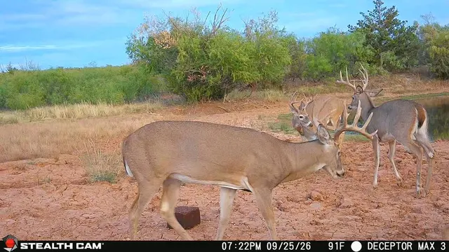 Photo 5 — 30389 E County Road 1360 Road, Willow, OK 73673