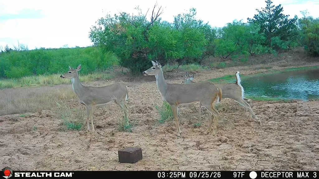 Photo 8 — 30389 E County Road 1360 Road, Willow, OK 73673