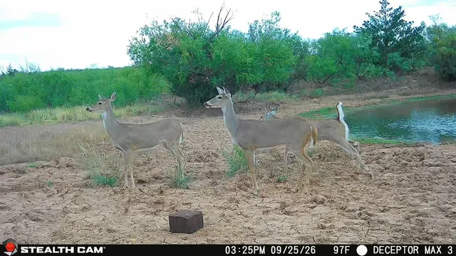 Photo 8 — 30389 E County Road 1360 Road, Willow, OK 73673