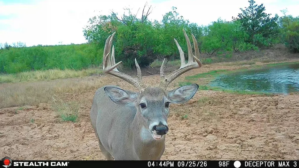Photo 10 — 30389 E County Road 1360 Road, Willow, OK 73673