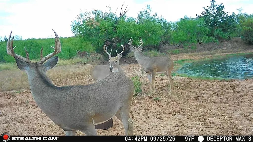 Photo 11 — 30389 E County Road 1360 Road, Willow, OK 73673