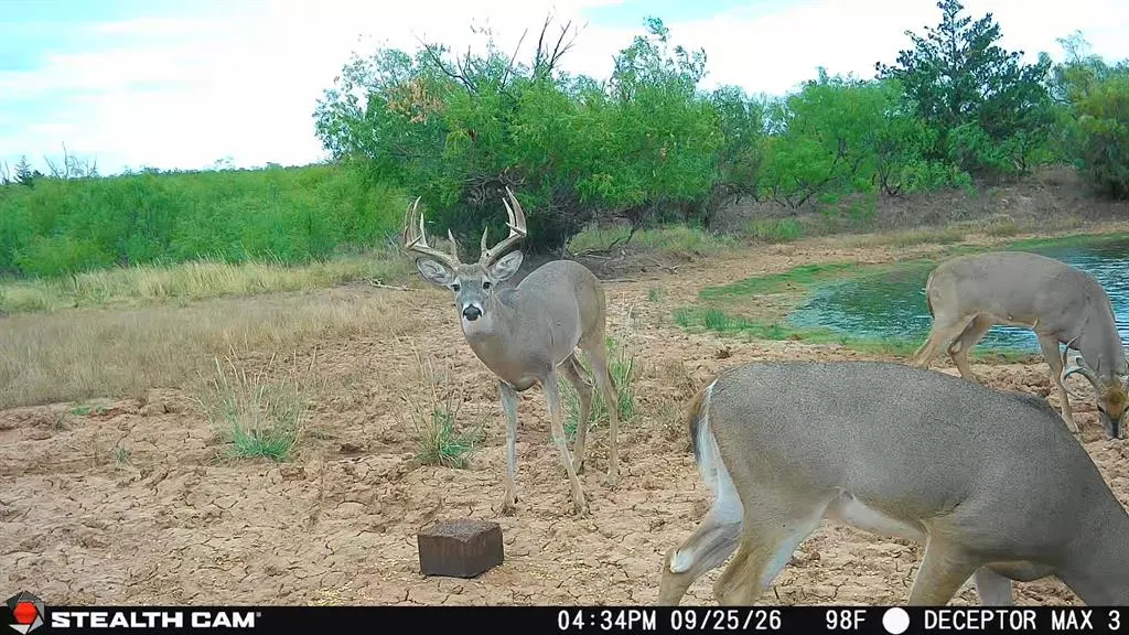 Photo 12 — 30389 E County Road 1360 Road, Willow, OK 73673