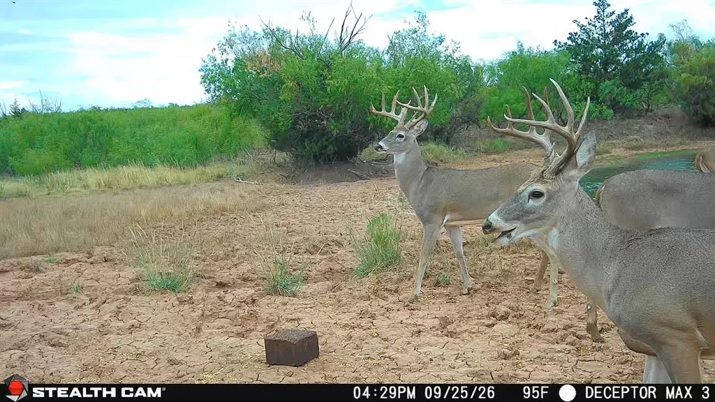 Photo 13 — 30389 E County Road 1360 Road, Willow, OK 73673
