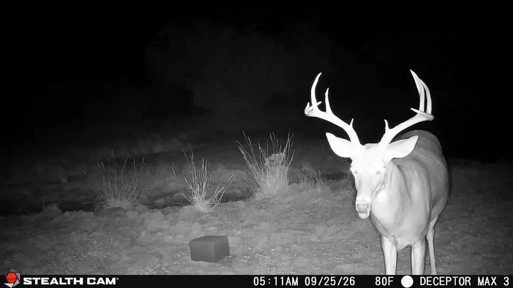 Photo 15 — 30389 E County Road 1360 Road, Willow, OK 73673