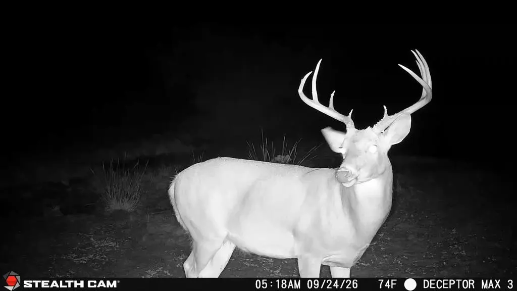 Photo 16 — 30389 E County Road 1360 Road, Willow, OK 73673