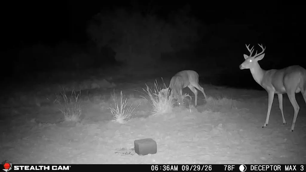 Photo 17 — 30389 E County Road 1360 Road, Willow, OK 73673