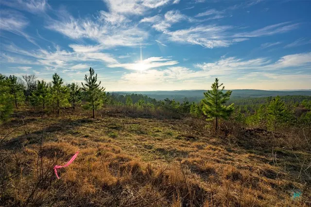 Photo 7 — 593 Woodland Ridge Trail, Broken Bow, OK 74728