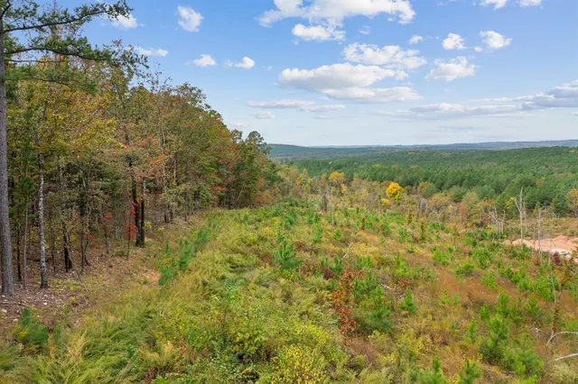 Photo 2 — 48 Rose Tree Trail, Broken Bow, OK 74728