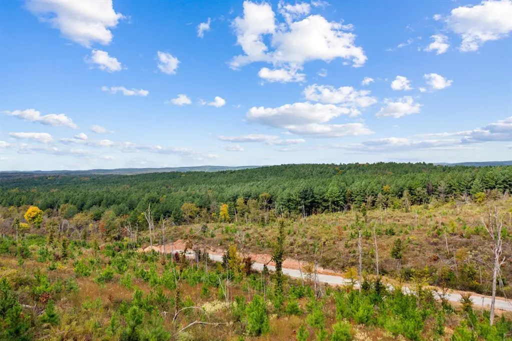 Photo 6 — 48 Rose Tree Trail, Broken Bow, OK 74728