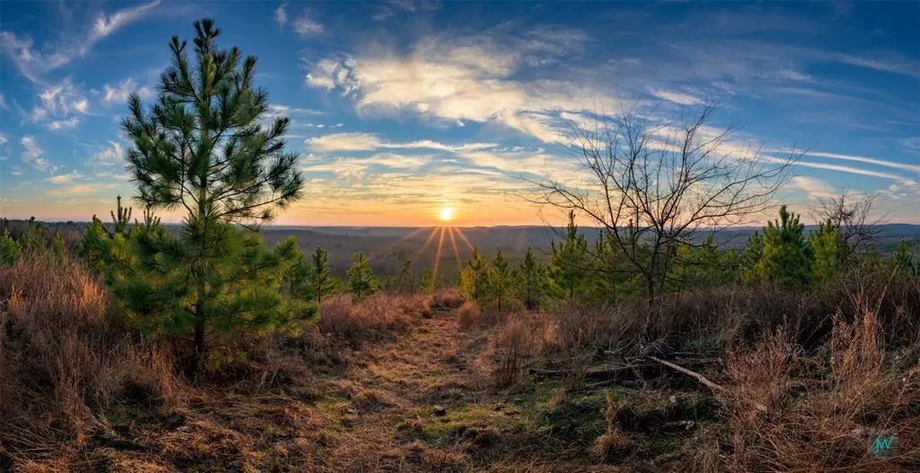 Photo 7 — 48 Rose Tree Trail, Broken Bow, OK 74728