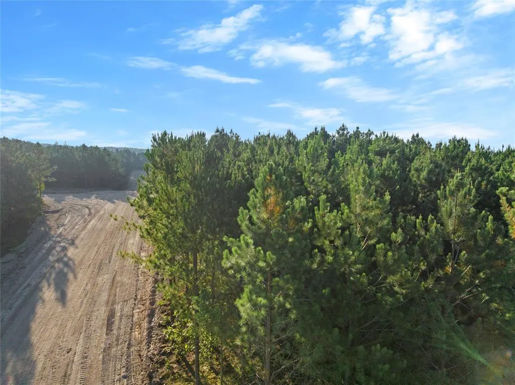 Photo 4 — 162 Legacy Pine Trail, Broken Bow, OK 74728
