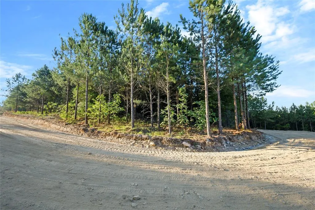 Photo 6 — 162 Legacy Pine Trail, Broken Bow, OK 74728