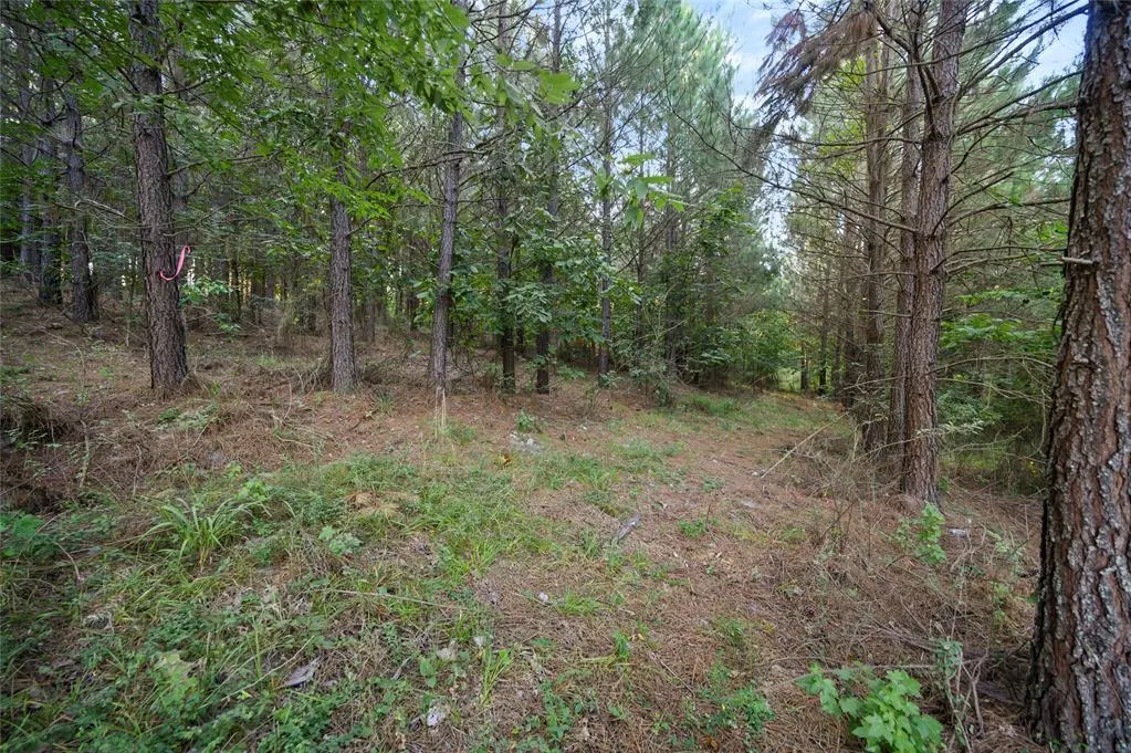 Photo 7 — 162 Legacy Pine Trail, Broken Bow, OK 74728