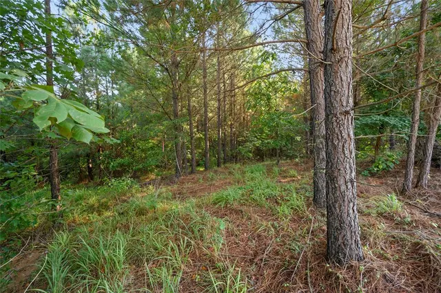 Photo 4 — 163 Legacy Pine Trail, Broken Bow, OK 74728