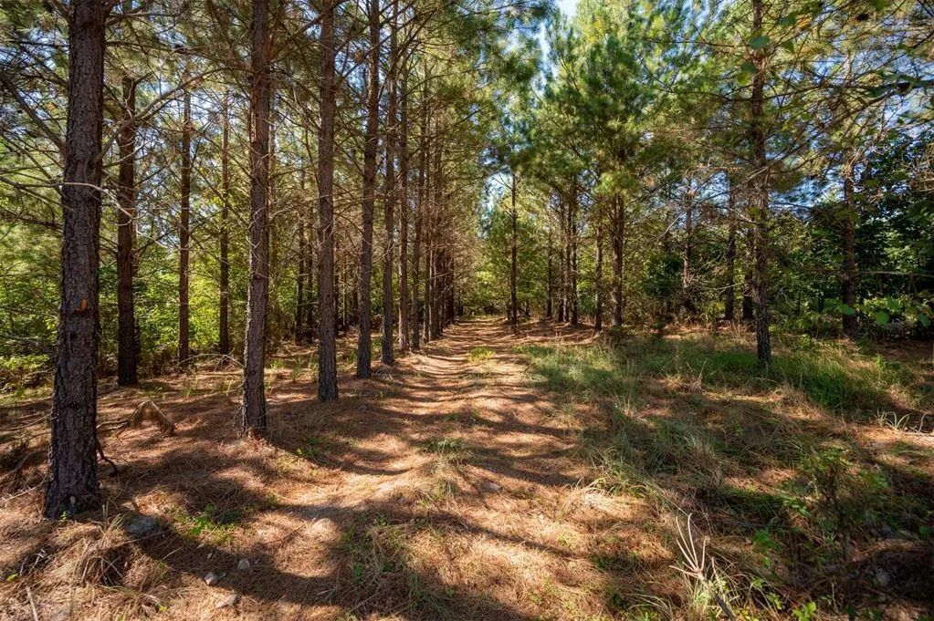 Photo 5 — 173 Legacy Mountain Trail, Broken Bow, OK 74728