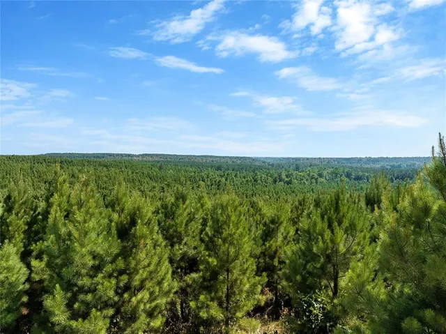 Photo 4 — 38 Legacy Lane Trail, Broken Bow, OK 74728