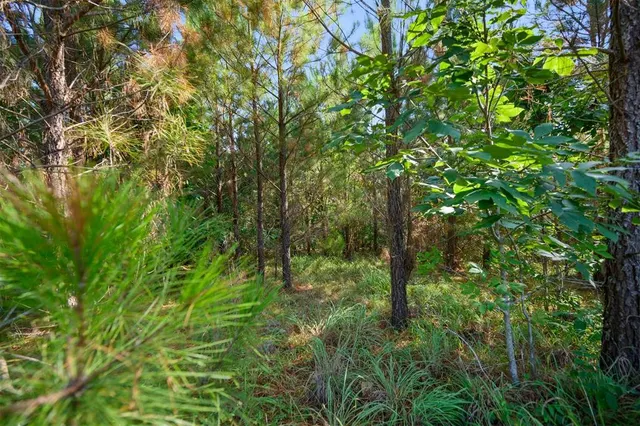 Photo 3 — 127 Legacy Point Trail, Broken Bow, OK 74728