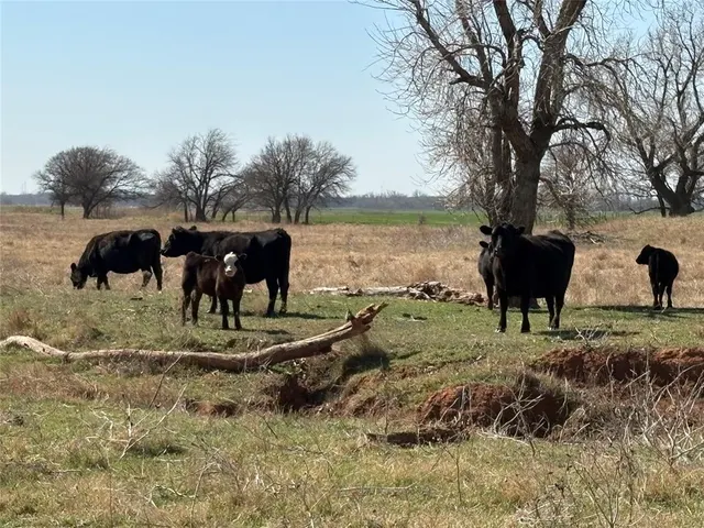 Photo 3 — 100 E County Road 600 Road, Marshall, OK 73056