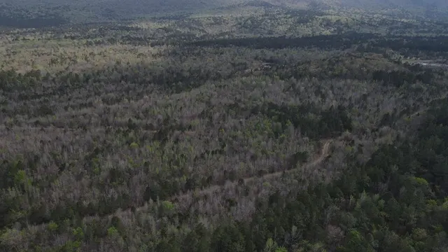 Photo 4 — N/A, Heavener, OK 74966