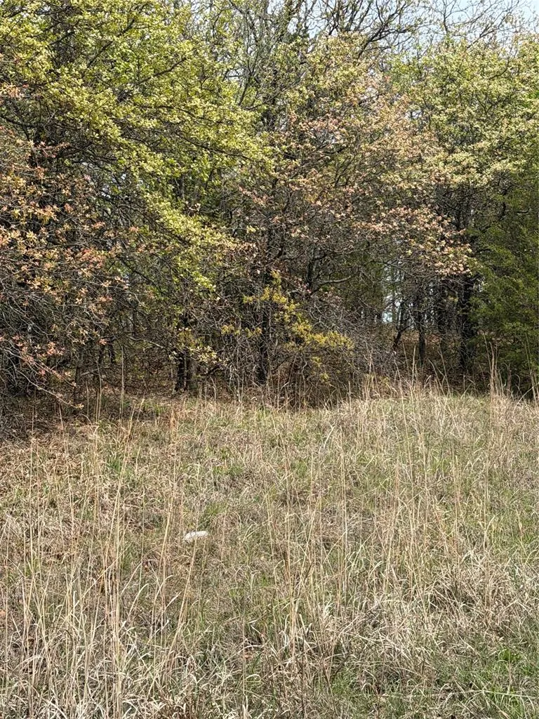 Photo 3 — 17980 S Cliff Road, Newalla, OK 74857